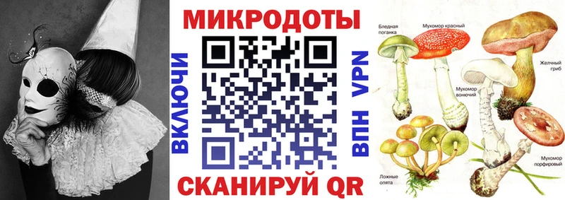 Галлюциногенные грибы Psilocybine cubensis  сколько стоит  ОМГ ОМГ маркетплейс  Тольятти 